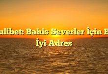 Pulibet: Bahis Severler İçin En İyi Adres