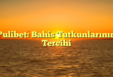 Pulibet: Bahis Tutkunlarının Tercihi