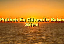 Pulibet: En Güvenilir Bahis Sitesi